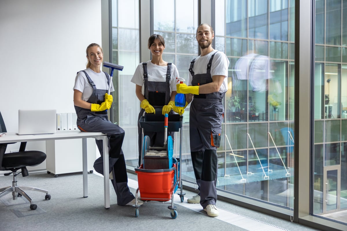 Equipo de Limpiezas AEG